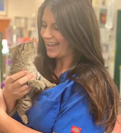 Dominique Wareham's staff photo from Plantation Animal Hospital where she is smiling and holding a grey tabby kitten.